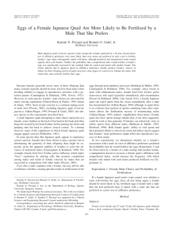 Eggs of a Female Japanese Quail Are More Likely to Be Fertilized