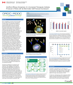 Anti-Ricin Efficacy Comparison of a Humanized Therapeutic