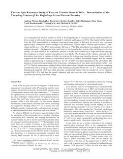 Electron Spin Resonance Study of Electron Transfer Rates in DNA