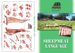 sheepmeat primal cuts - AUS