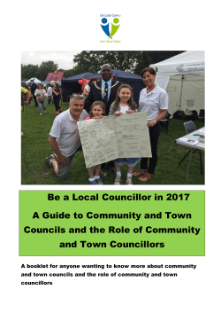 Be a Local Councillor in 2017