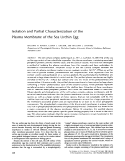 Isolation and Partial Characterization of the Plasma Membrane of