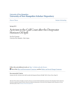 Activism in the Gulf Coast after the Deepwater Horizon Oil Spill