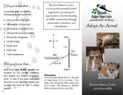 Adopt An Animal Brochure