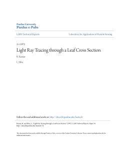 Light Ray Tracing through a Leaf Cross Section - Purdue e-Pubs