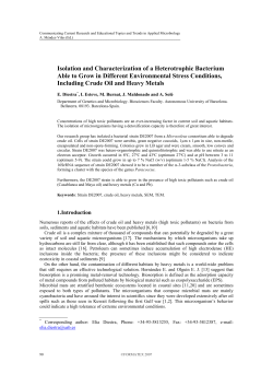 Isolation and Characterization of a Heterotrophic Bacterium Able to