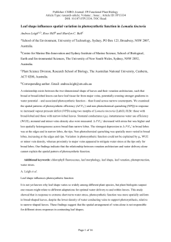 Leaf shape influences spatial variation in photosynthetic function in