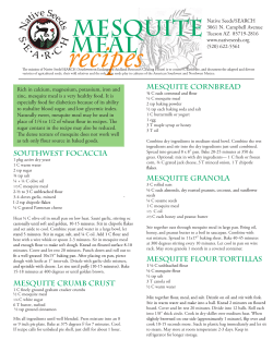 MESqUITE CORNBREAD SOUTHWEST FOCACCIA MESqUITE