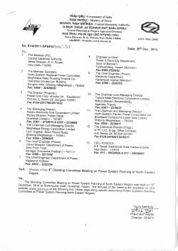 Minutes of Meeting - Central Electricity Authority