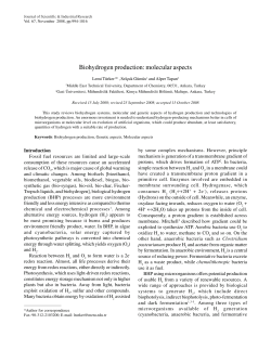Biohydrogen production: molecular aspects