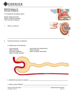 BIOH122 Session 18 Overview of Nephron