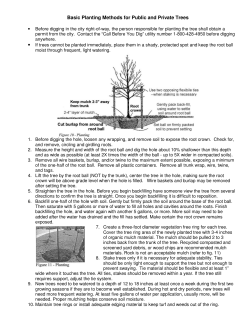 Basic Planting Methods for Public and Private Trees
