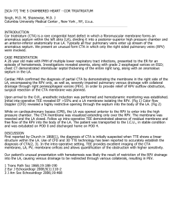 THE 5 CHAMBERED HEART