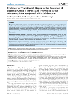 Monomorphina aenigmatica Plastid Genome