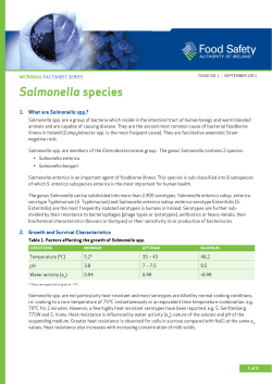 Salmonella species - The Food Safety Authority of Ireland