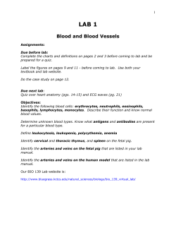 Blood and Blood Vessels