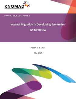 Internal Migration in Developing Economies: An Overview