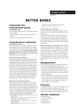 better bones