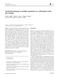 Anchoring damages to benthic organisms in a subtropical