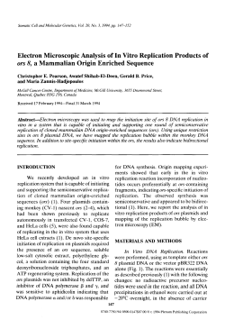 Electron microscopic analysis of in vitro replication products of