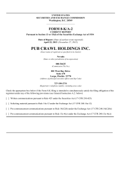 pub crawl holdings inc. - Stealth Technologies, Inc.