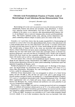 Chromic-Acid Formaldehyde Fixation of Nucleic Acids of