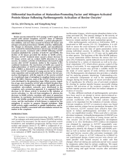 Differential Inactivation of Maturation