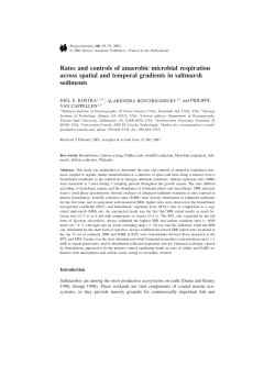 Rates and controls of anaerobic microbial respiration