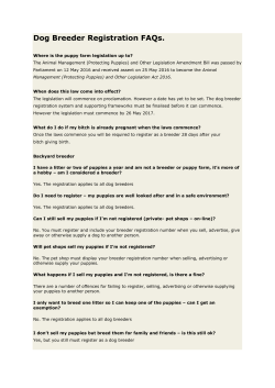 Dog Breeder Registration FAQs.