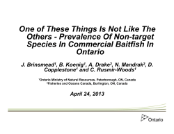 One of These Things Is Not Like The Others - Prevalence Of