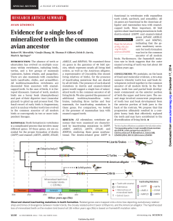 Meredith_pages 1..6 - Centre for Social Evolution