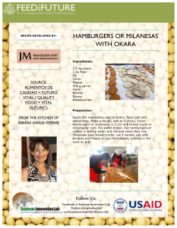 hamburgers or milanesas with okara