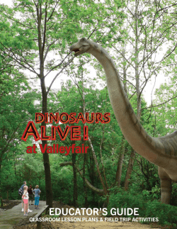 Dino Education Guide