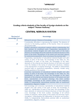 CENTRAL NERVOUS SYSTEM