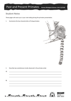 Past and Present Primates