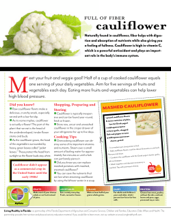 Cauliflower flyer