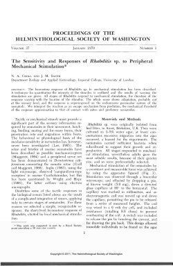 The Sensitivity and Responses of Rhabditis sp. to