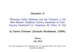 Discussion of &ldquo;Monetary Policy Spillovers and the Trilemma