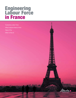 Engineering Labour Force in France