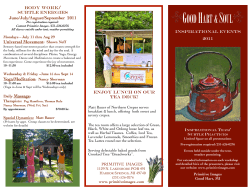 IT brochure 2011website