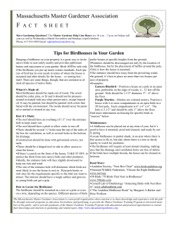 Tips for Birdhouses in Your Garden