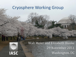 IASC Cryosphere Working Group and CliC Sea Ice Working Group