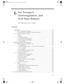6 Ion Transport, Osmoregulation, and Acid&ndash;Base Balance