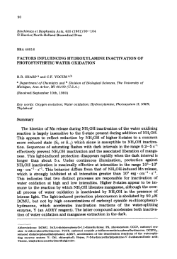 90 FACTORS INFLUENCING HYDROXYLAMINE