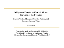 National Development Strategy for the Pygmies in DRC