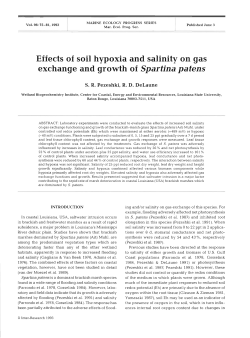 Effects of soil hypoxia and salinity on gas exchange and growth of