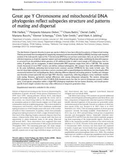 Great ape Y Chromosome and mitochondrial DNA phylogenies