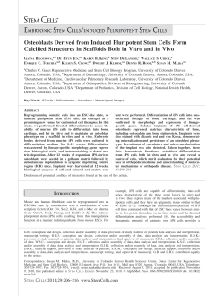 Osteoblasts Derived from Induced Pluripotent Stem Cells form