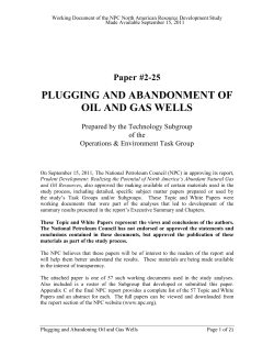 2-25 Well Plugging and Abandonment Paper