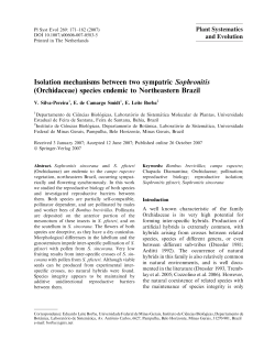 Isolation mechanisms between two sympatric Sophronitis